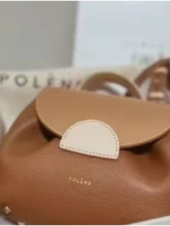 Meet the Posher Handbags - Polène Numéro Un Nano